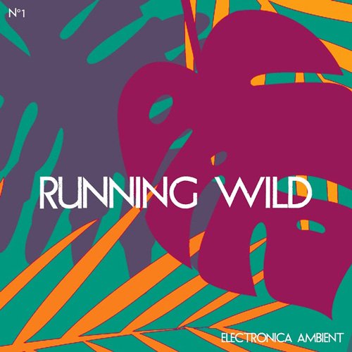 VA - Running Wild Electronica Ambient Vol. 1 (2017)