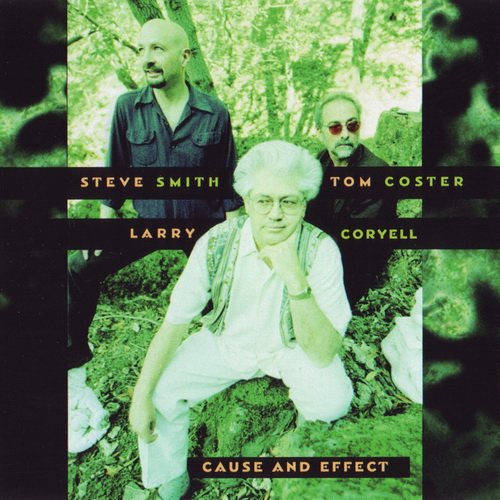 Larry Coryell - Cause And Effect (1998), 320 Kbps