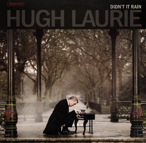 Hugh Laurie - Didn't It Rain (2013) LP