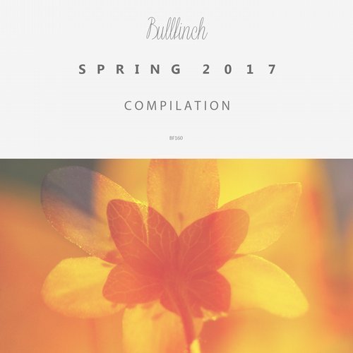 VA - Bullfinch Spring Compilation 2017 (2017)