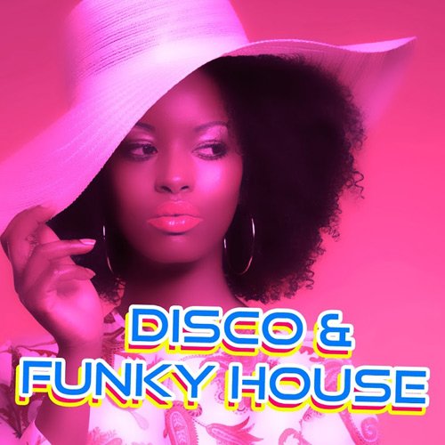 VA - Disco & Funky House (2017)