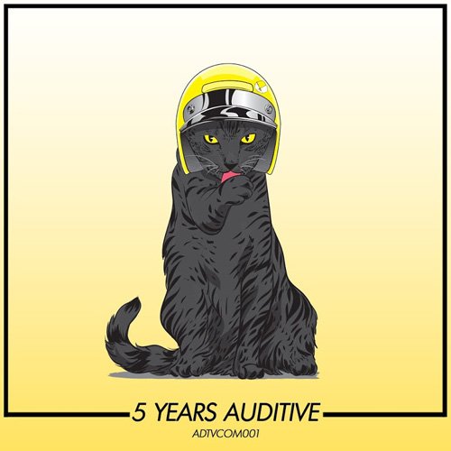 VA - 5 Years Auditive (2017)