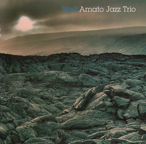 Amato Jazz Trio - Well (2010)