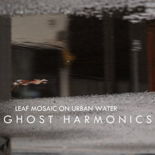 Ghost Harmonics - Leaf Mosiac On Urban Water (2017)