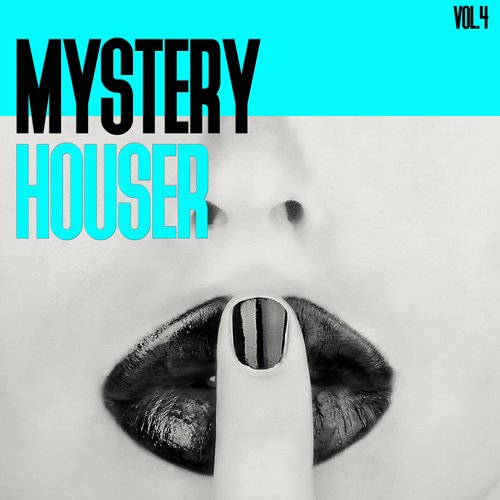 VA - Mystery Houser Vol 4 (2017)