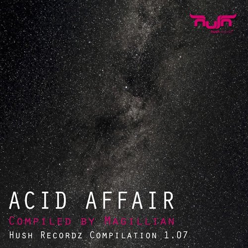 VA - Acid Affair (2017)