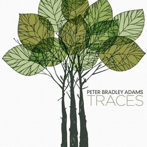 Peter Bradley Adams - Traces (2009)