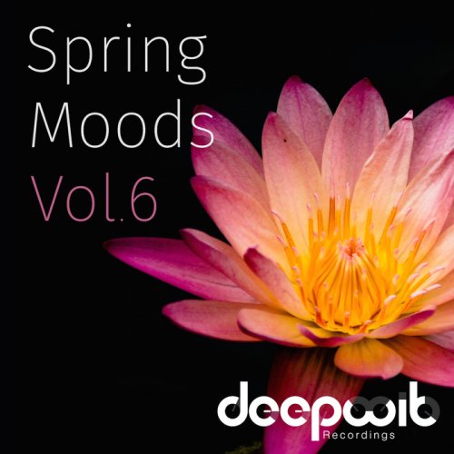 VA - Spring Moods Vol. 6 (2017)