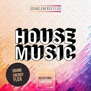 VA - House Music Selection Thirteen (2017)