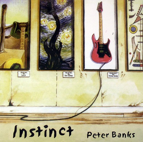 Peter Banks - Instinct (1994)