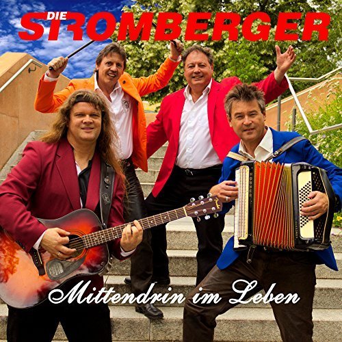 Die Stromberger - Mittendrin Im Leben (2017)