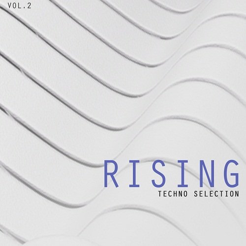 VA - Rising Techno Selection Vol.2 (2017)