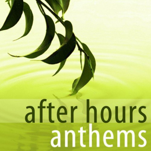 VA - After Hours Anthems (2008)