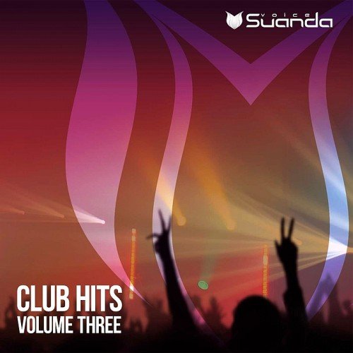 VA - Club Hits Vol. 3 (2017)