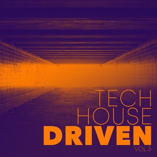 VA - Tech House Driven Vol 3 (2017)
