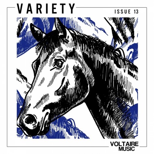 VA - Voltaire Music Present Variety Issue 13 (2017)