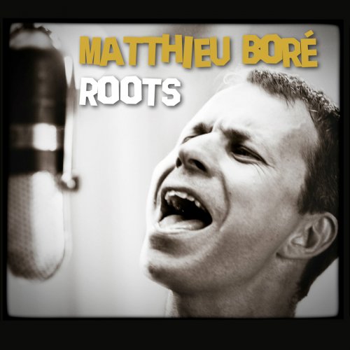 Matthieu Boré - Roots - 320kbps