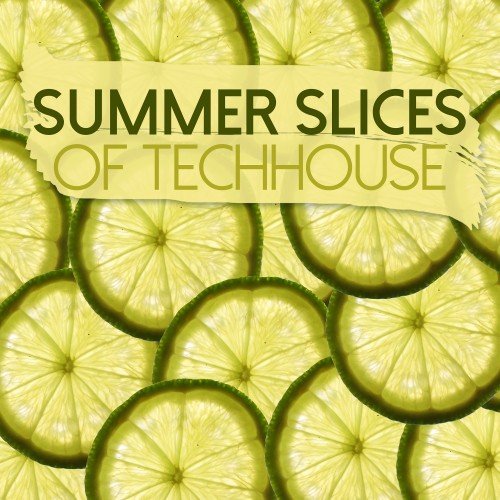 VA - Summer Slices of Techhouse (2017)