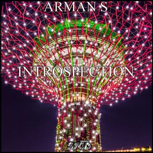 Arman S - Introspection (2017)