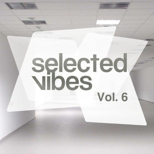 VA - Selected Vibes Vol  6 Finest Electronic Music (2017)