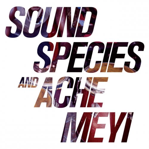 Soundspecies & Ache Meyi - Soundspecies & Ache Meyi (2017)