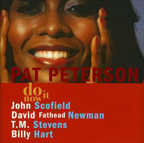 Pat Peterson - Do It Now (2005)