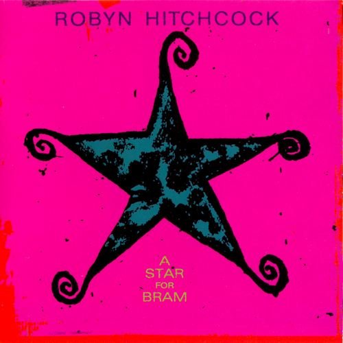 Robyn Hitchcock - Star For Bram (2000)