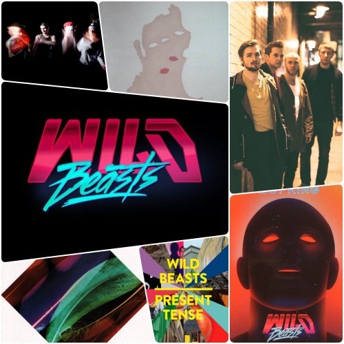 Wild Beasts - Discography (2008-2018)