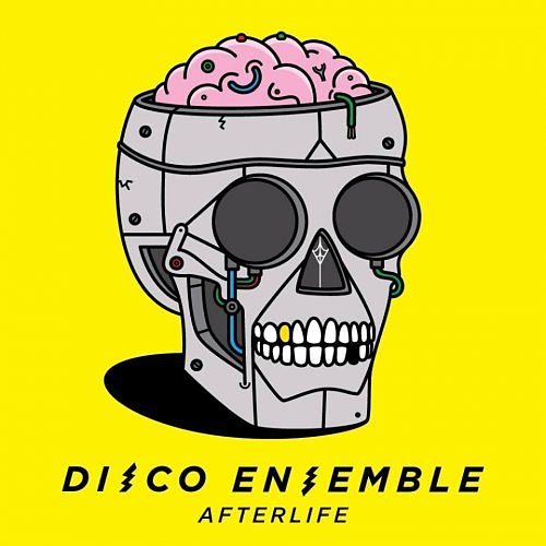 Disco Ensemble - Afterlife (2017) FLAC