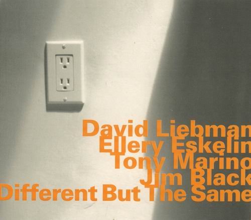 David Liebman and Ellery Eskelin - Different But The Same (2005)