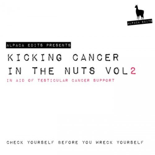 VA - Kicking Cancer in the Nuts Vol. 2 (2017)