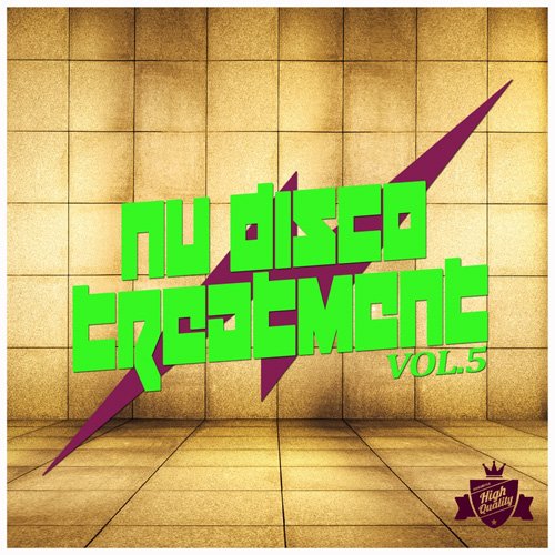 VA - Nu Disco Treatment Vol. 5 (2017)