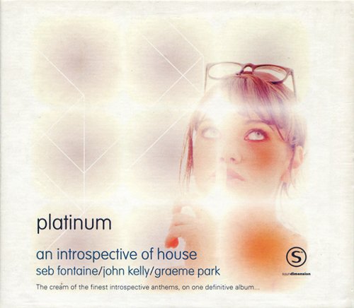 VA - An Introspective Of House Platinum (1997)