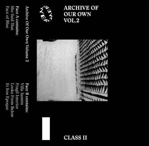 Royer - Archive Of Our Own Vol. 2 (2017)