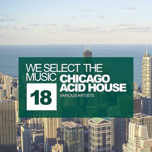 VA - We Select The Music Vol 18: Chicago Acid House (2017)
