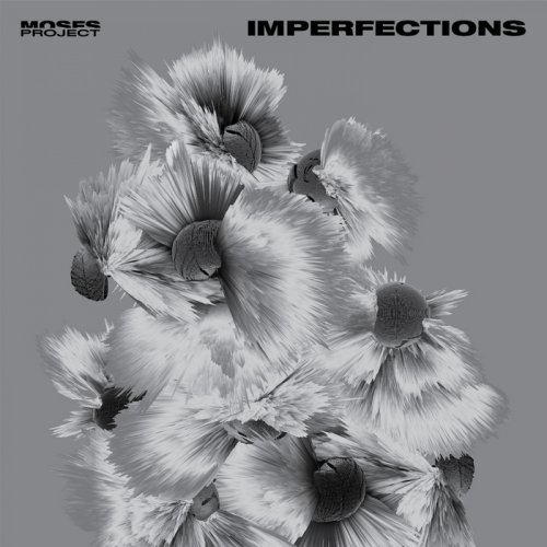 Moses Project - Imperfections (2017)