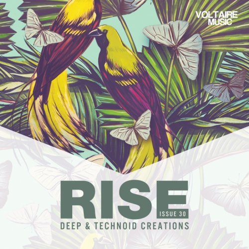 VA - Rise - Deep & Technoid Creations Issue 30 (2017)