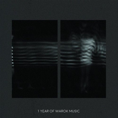 VA - One Year Of Warok Music (2017)
