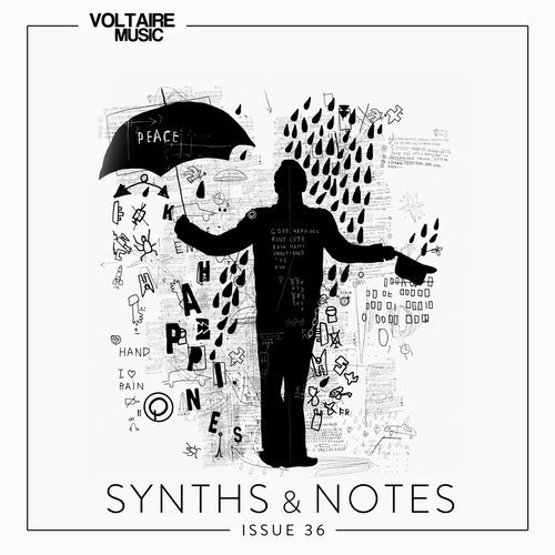 VA - Synths And Notes 36 (2017)