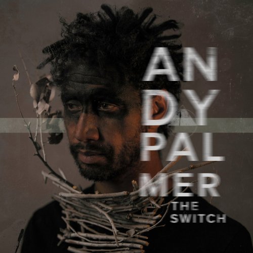 Andy Palmer - The Switch (2017)
