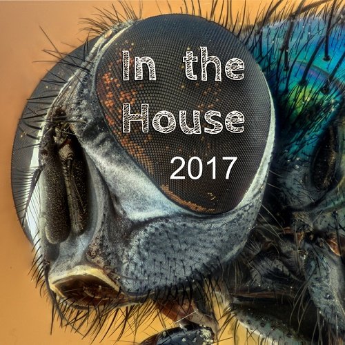 VA - In The House 2017