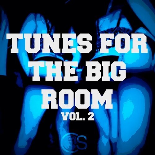 VA - Tunes For The Big Room Vol.2 (2017)