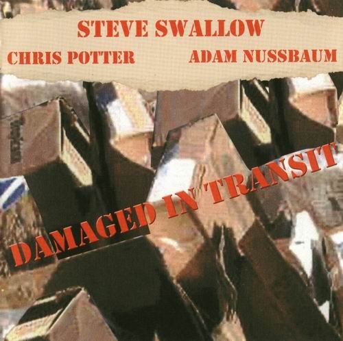 Steve Swallow - Damaged in Transit (2003)