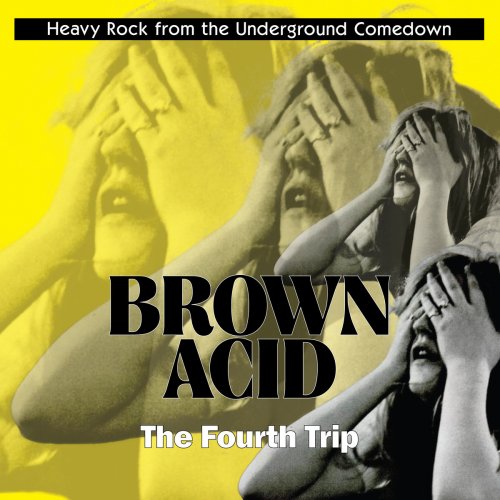 VA - Brown Acid: The Fourth Trip (2017)
