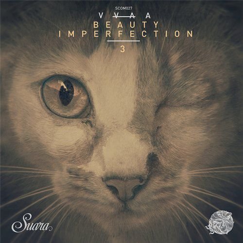 VA - Beauty Imperfection 3 (2017)