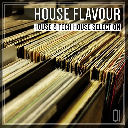 VA - House Flavour 01 (2017)