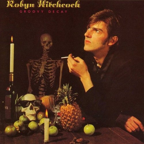 Robyn Hitchcock - Groovy Decay (1982 Remaster) (1995)