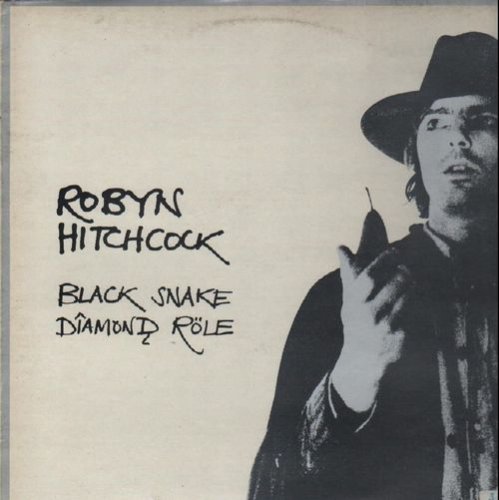 Robyn Hitchcock - Black Snake Diamond Role (1981 Reissue) (2007)