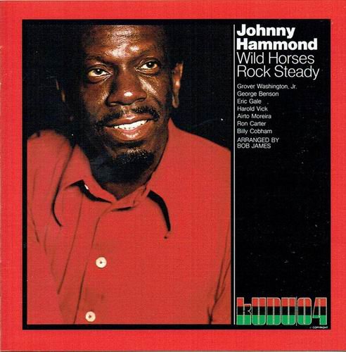 Johnny Hammond - Wild Horses Rock Steady (1972) 320 kbps