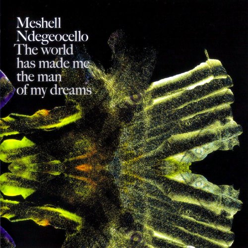 Meshell Ndegeocello - The World Has Made Me The Man Of My Dreams (2007) MP3 + Lossless